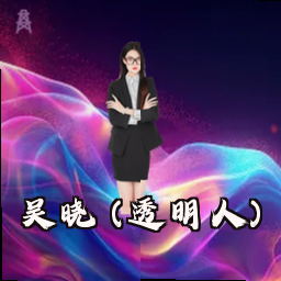 吴晓 (透明人)